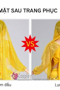 Đồ Cô Dâu Ấn Độ Vàng Tay Dài Kim Sa