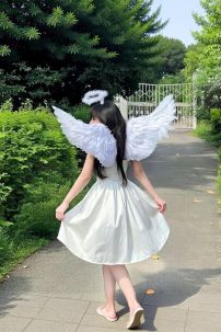 Cánh Thiên Thần Lông Ngỗng 43 X 105 Cm