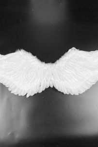 Cánh Thiên Thần Lông Ngỗng 43 X 105 Cm