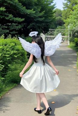 Cánh Thiên Thần Lông Ngỗng 43 X 105 Cm