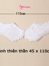 CÁNH TRẮNG 105CM