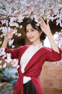 Đồ Tứ Thân Đỏ Đụp Đen Chụp Hoa Đào Tết