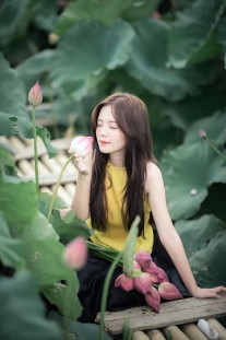 Yếm Vàng Chup Ảnh Hồ Sen Mùa Hè