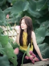 Yếm Vàng Chup Ảnh Hồ Sen Mùa Hè
