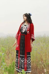 Hán Phục Miêu Cương Thời Nhà Tống