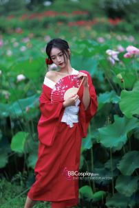 Áo Yukata Đỏ Trơn Cổ Trắng Tặng Kèm Thắt Lưng