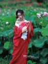 Áo Yukata Đỏ Trơn Cổ Trắng Tặng Kèm Thắt Lưng