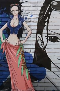 Đồ Nico Robin - Onepiece - Mẫu Vải Da Xịn