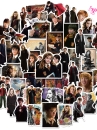 Hình Dán Harry Potter Dễ Thương - Set 10 Tấm Lộn Xộn