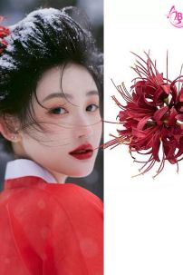 Kẹp Tóc Hoa Bỉ Ngạn Đỏ - Kẹp Tóc Chụp Ảnh