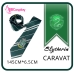 Cà Vạt Trường Phù Thuỷ Hogwarts -  Salazar Slytherin (Có Logo)
