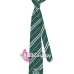 Cà Vạt Trường Phù Thuỷ Hogwarts -  Salazar Slytherin (Có Logo)