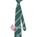 Cà Vạt Trường Phù Thuỷ Hogwarts -  Salazar Slytherin (Không Logo)