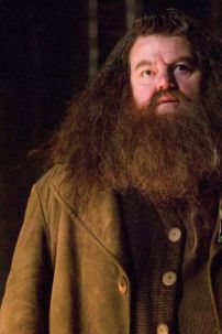 Râu Tóc Rubeus Hagrid - Harry Potter