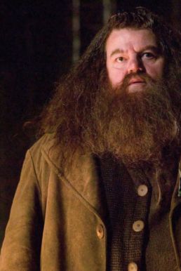 Râu Tóc Rubeus Hagrid - Harry Potter