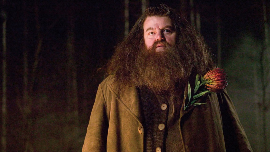 Râu Tóc Rubeus Hagrid - Harry Potter
