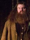 Râu Tóc Rubeus Hagrid - Harry Potter