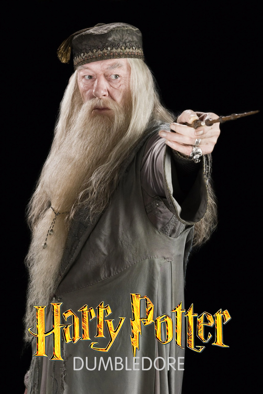 Tóc Giả Giáo Sư Dumbledore Trong Harry Potter