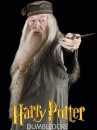 Tóc Giả Giáo Sư Dumbledore Trong Harry Potter