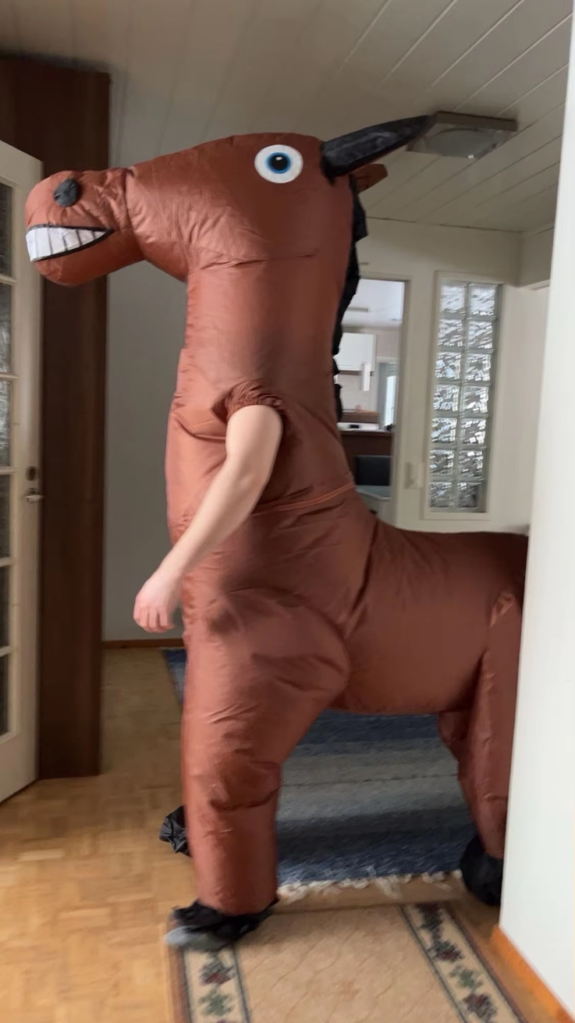 Mascot Nhân Mã - Ngựa Nâu Bơm Hơi