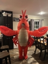 Mascot Tôm Hùm Sebastian Trong Nàng Tiên Cá (The Little Mermaid)