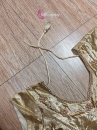 Trang Phục Ấn Độ Lahanga - Màu Hồng Đậm Áo Vàng