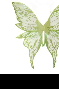 Cánh Bướm Xanh Lá - Giá Rẻ