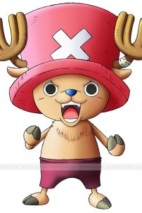 Mũ Chopper, Nón Chopper (One Piece)