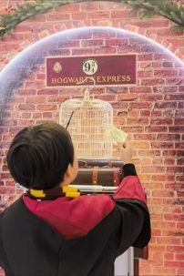 Đồng Phục Trường Hogwarts - Trọn Bộ Full Phụ Kiện Harry Potter