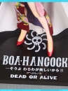 Mô Hình Boa Hancock Zero Ver - One Piece