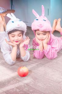 Trang Phục Thú Giá Rẻ Con Thỏ Hồng