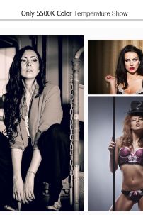 Đèn LED YONGNUO 1200 Bóng (YN1200 Pro LED)