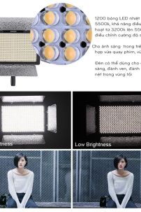 Đèn LED YONGNUO 600 Bóng (YN600 Pro LED)