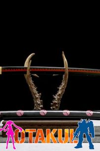 Kiếm Gỗ Shusui Của Zoro - One Piece