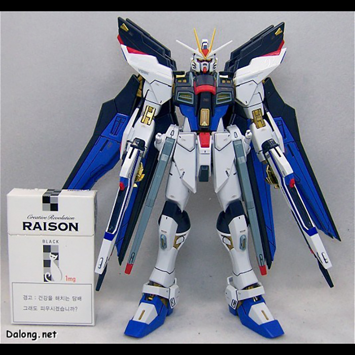 Mô Hình Gundam Mg Strike Freedom Full Burst + Wing - Gundam Mg 1:100 Giá  Tốt - Bbcosplay.Com