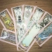 Sakura Clear Card