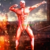 Trang Phục Titan (Attack On Titan)