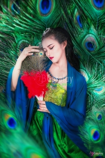 Cổ Trang 324 (Khổng Tước Linh Cơ)