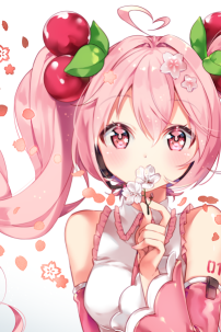 2 Búi Tóc Dài 1M2 Hatsune Miku - Ver Sakura