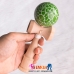 Kendama Xanh Lá