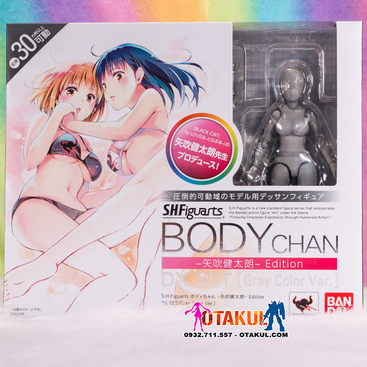 Mô Hình Figma Body-Chan DX SET Grey