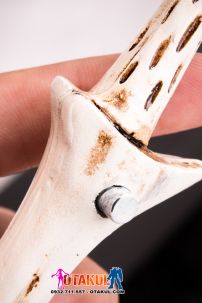 Gậy Voldemort Có Đèn - Gậy Phép Trong Harry Potter