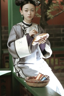 Diên Hy Công Lược