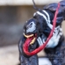 Mô Hình Figure Venom ArtFX+ 1/10 Scale Statue From Kotobukiya!