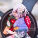 Mô Hình Figure Mash Kyrielight Kimono - Fate/Grand Order
