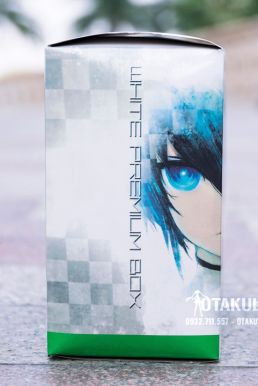 Mô Hình Figma SP-033 White Rock Shooter - Black Rock Shooter