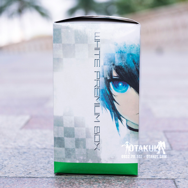 Mô Hình Figma SP-033 White Rock Shooter - Black Rock Shooter