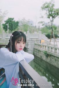 Đồ Bách Hoa Xuân