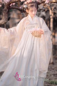 Đồ Hằng Nga Vinh Cơ