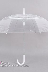 Dù Trong Suốt Chụp Ảnh